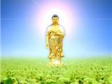 Đức Phật Với 45 Năm Mùa An Cư Kiết Hạ