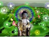 Đức Phật Không Phải Là Vị Thượng Đế, Thần Linh