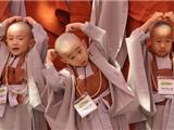 Chùm Ảnh: Thương Thương Các Chú Bé Xuất Gia Gieo Duyên Nhân Lễ Phật Đản 2013 Ở Hàn Quốc