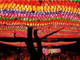 Hàn Quốc: Thắp Sáng 9,000 Đèn Lồng Đón Mừng Phật Đản