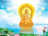 Đạo Cao Đài, Phật Giáo Hòa Hảo, Đạo Mẫu, Đạo Dừa Có Phải Là Đạo Phật Không? Đạo Nào Là Tốt Nhất?