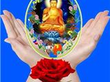 Phật Giáo Chánh Tín - Đức Phật Có Phải Là Chúa Sáng Thế Không?