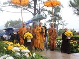 Độc Đáo Lễ Hội Hoa Cúc Chùa Ba Vàng- Quảng Ninh 