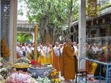 Đạo Phật Non Bồng
