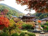 Bảy Ngôi Chùa Hàn Quốc Được UNESCO Công Nhận  Di Sản Văn Hóa Thế Giới