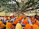 Hàng Ngàn Nhà Sư Diễu Hành Mừng Ngày Đức Phật Thành Đạo Ở Bồ Đề Đạo Tràng