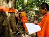 Campuchia: Các Nhà Sư Chiến Đấu Để Bảo Vệ Rừng