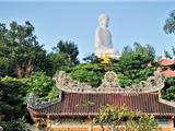 Liệu Hoa Sen Có Mọc  Được Trên Bãi Rác Dưới Chân Phật Ở Việt Nam?