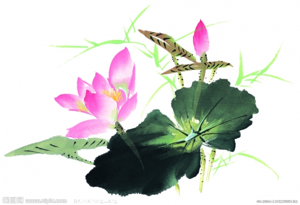 20. Phẩm “Thường Bất Kinh Bồ Tát”