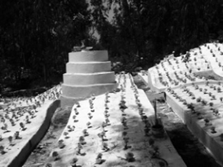 Nghĩa trang Đồng Nhi, nơi chôn cất gần 11.000 hài nhi